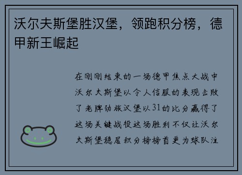 沃尔夫斯堡胜汉堡，领跑积分榜，德甲新王崛起
